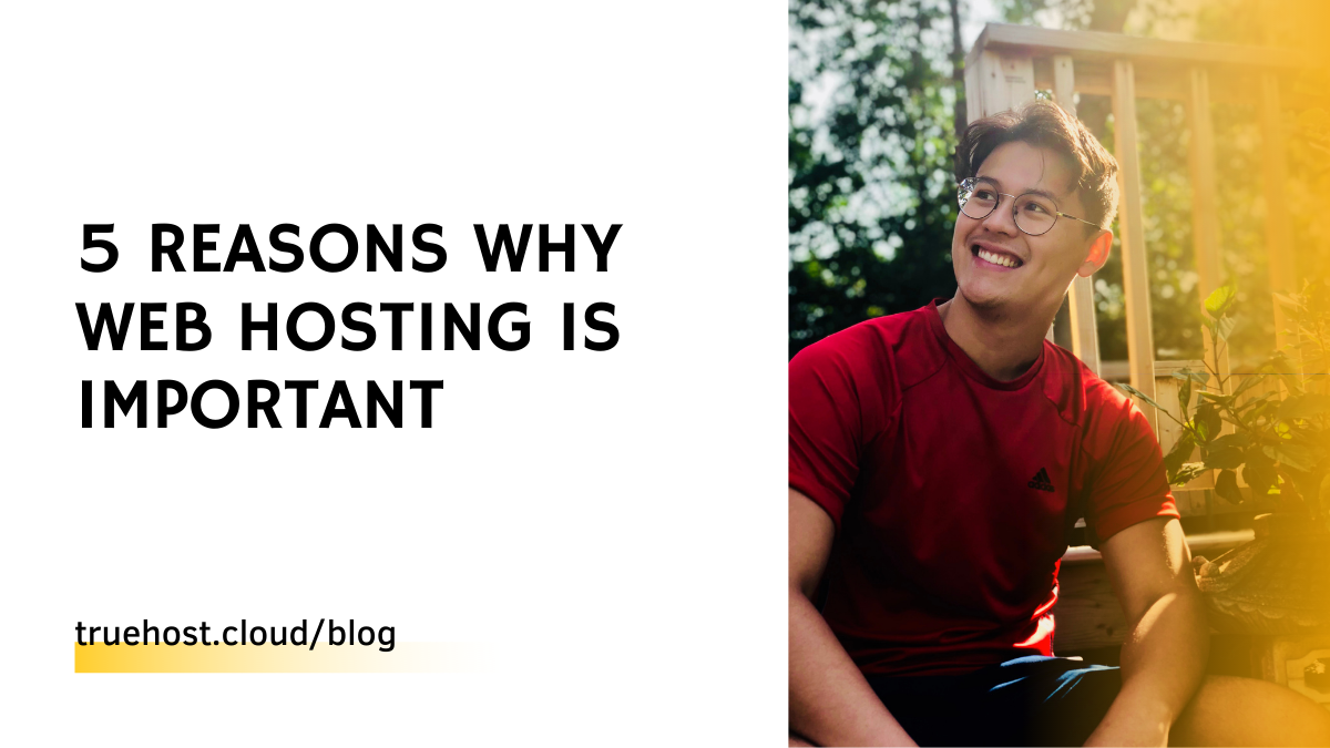 5 Reasons Why Web Hosting is Important