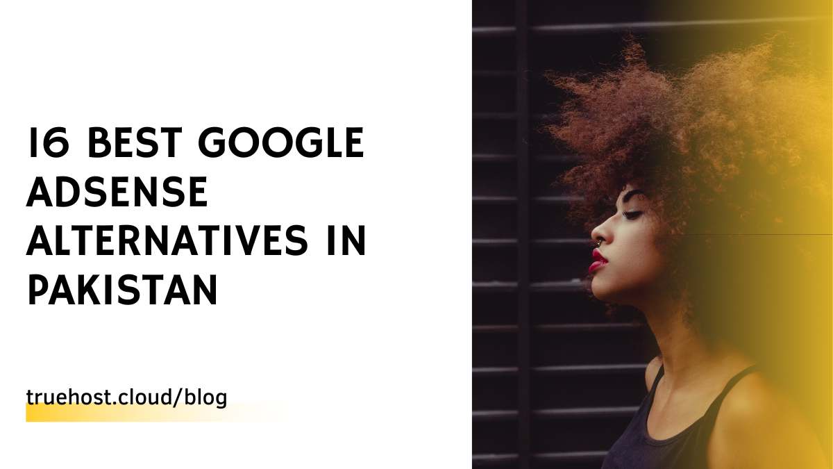 16 Best Google AdSense Alternatives in Pakistan
